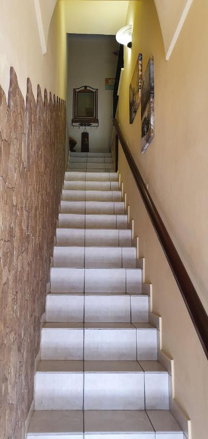 הוילה טראסיני Delfino House מראה חיצוני תמונה
